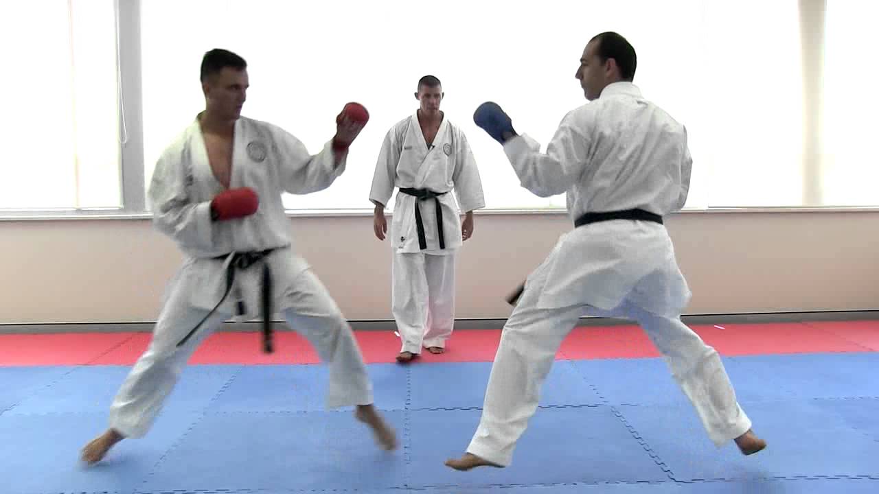 how-to-become-a-karate-champion-pisen-co-za